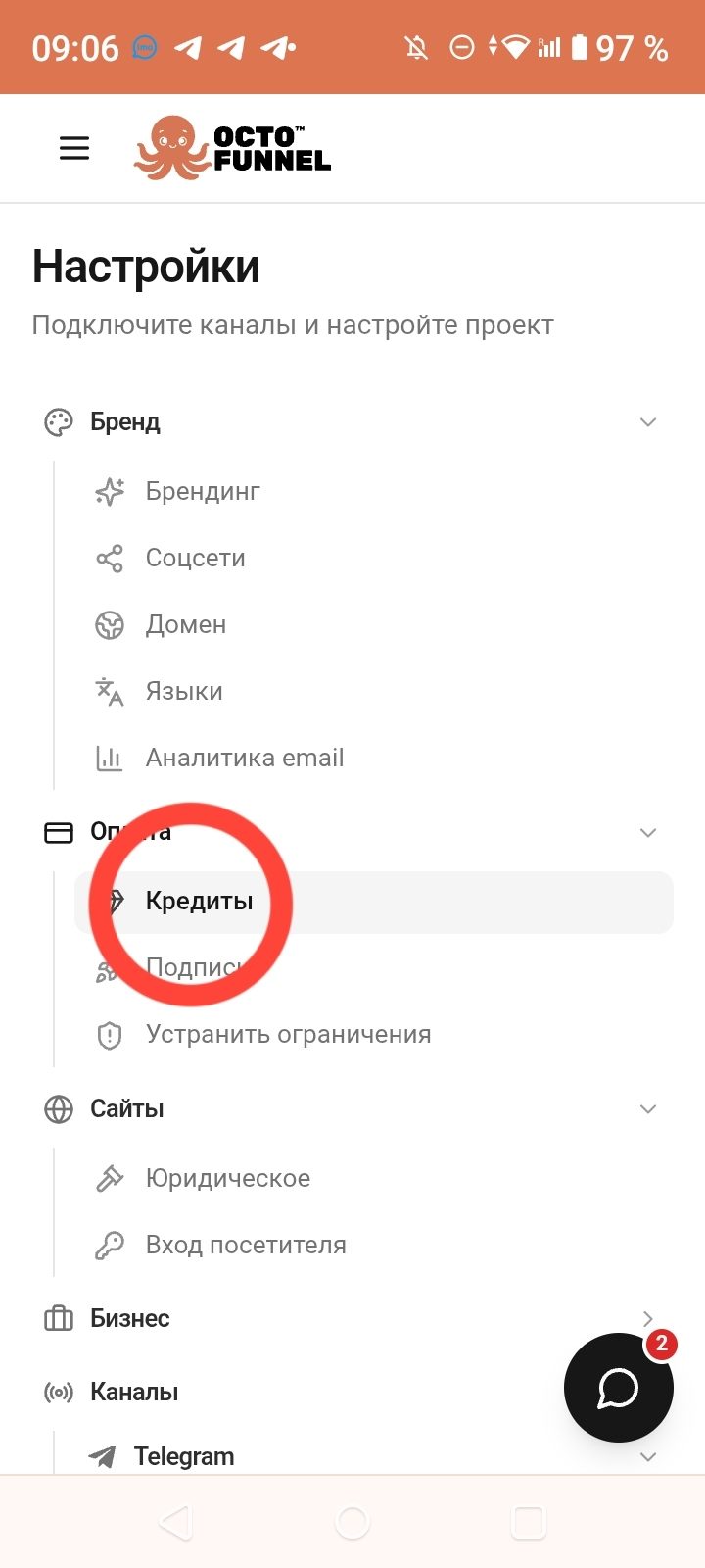 Настройки → Оплата → Кредиты