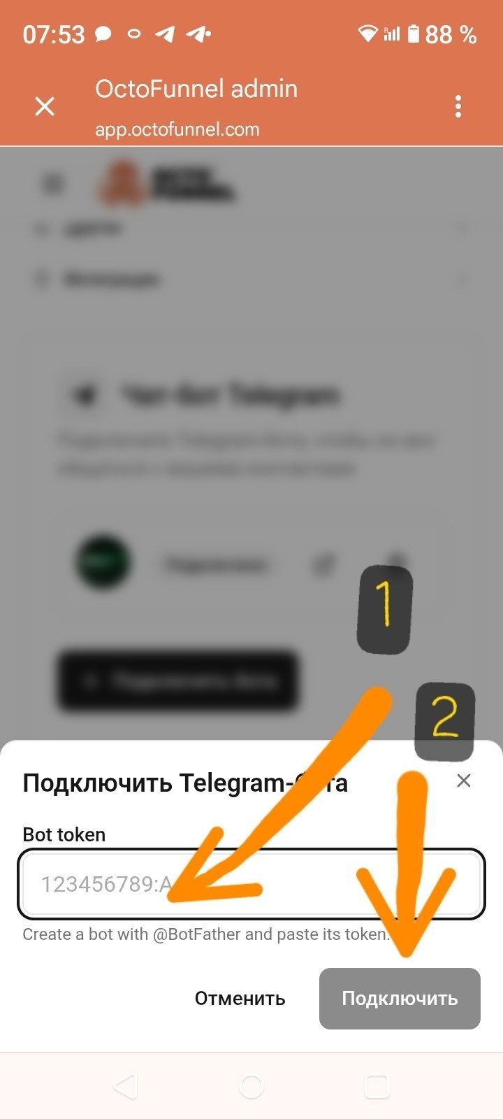 Вставить токен → Подключить